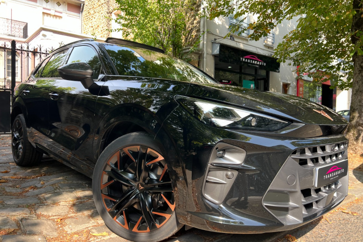CUPRA  TERRAMAR